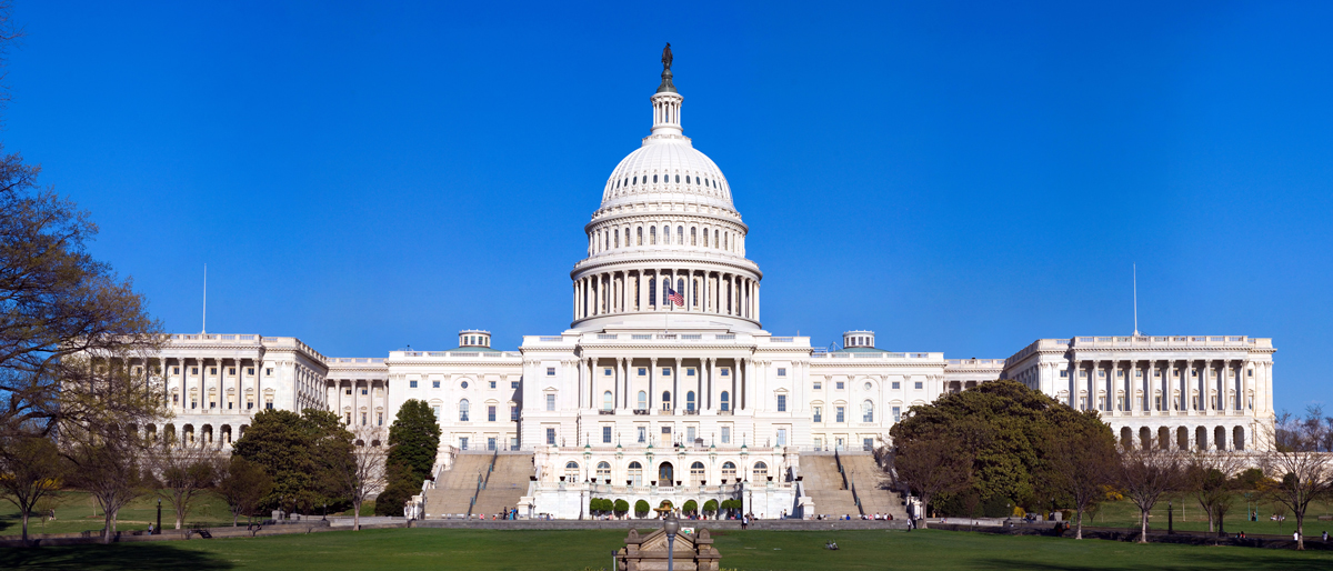 The Capital Building in Washington D.C., which houses the Senate and the House of Representatives.