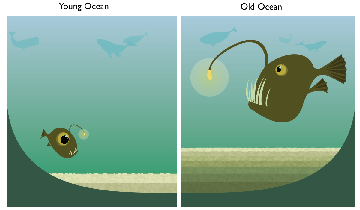 Two drawings of the ocean floor, one that represents the young ocean, which has very little sediment buildup, and one that represents the old ocean, which shows a lot of sediment buildup.